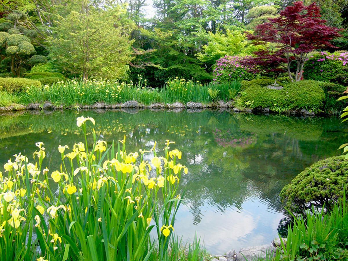 Hotel Garden Palace Kumagaya Esterno foto