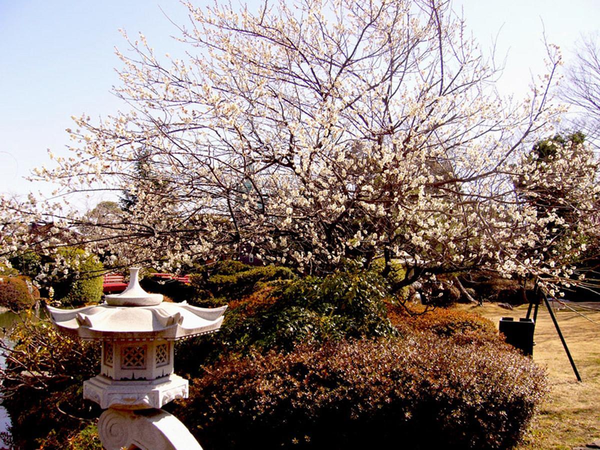 Hotel Garden Palace Kumagaya Esterno foto